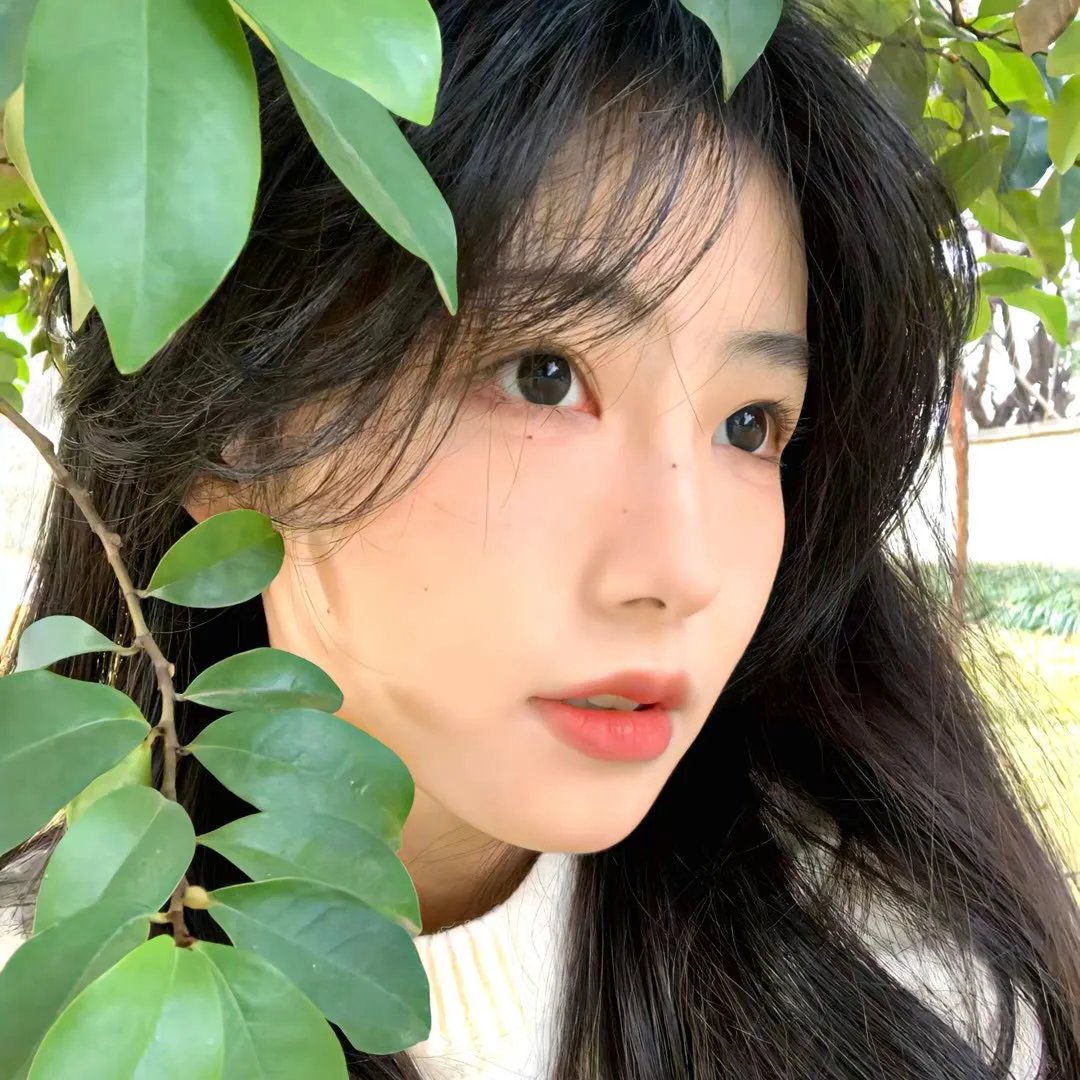 转瞬即逝的天堂